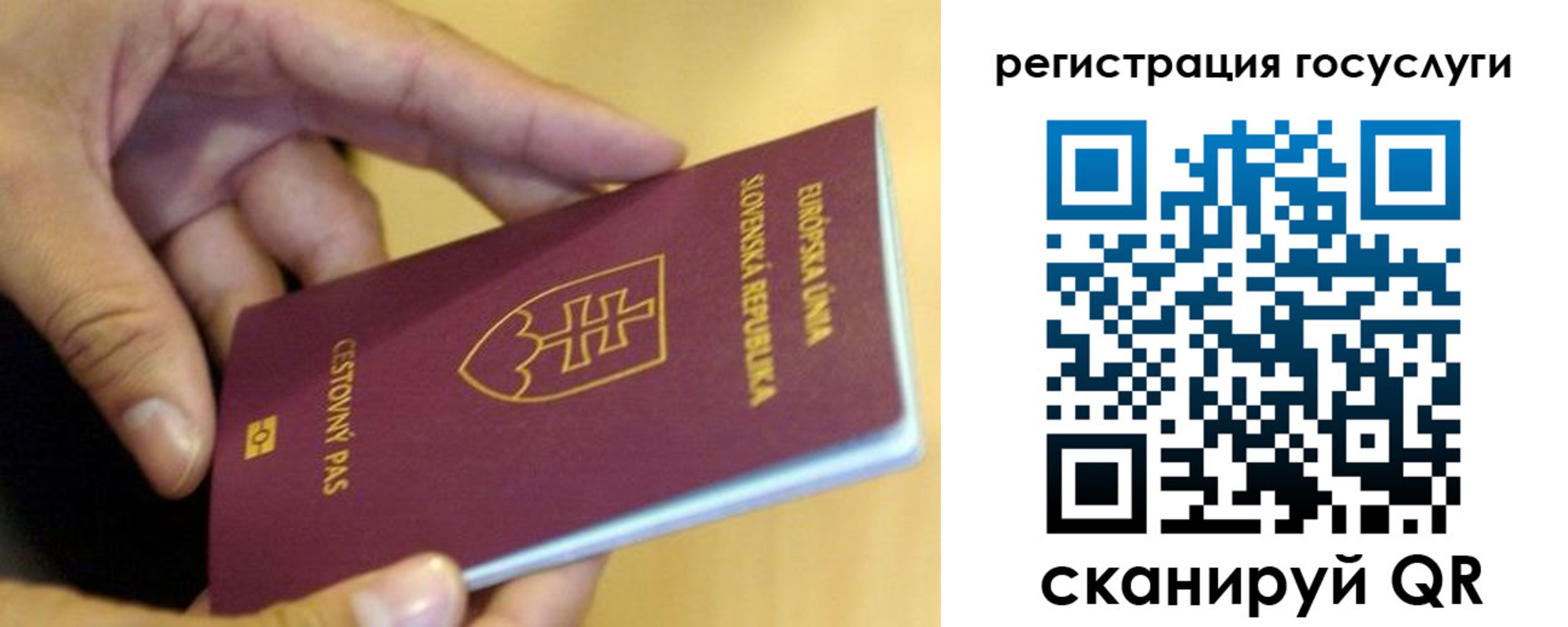 прописка в квартире в Хабаровском крае